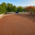 The Gulmohar Playground at Shahbaaz School