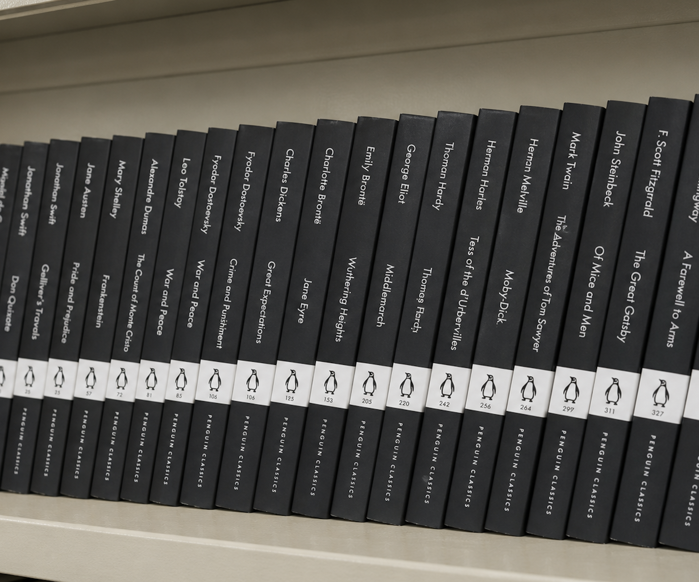 Library Books English Penguin Classics Shahbaaz School