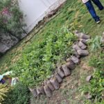 World Environment Day 2026 Gift Saplings Lined Up for Shahbaaz Students