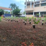 World Environment Day 2026 Lemon and Guava Saplings Arranged in the Assembly Ground